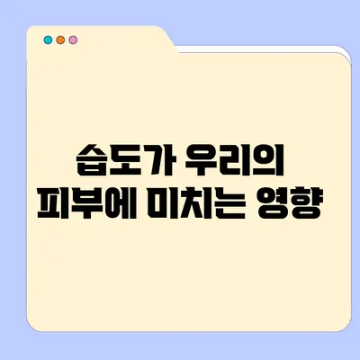 습도가 우리의 피부에 미치는 영향