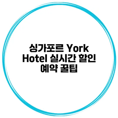 싱가포르 York Hotel 실시간 할인 예약 꿀팁