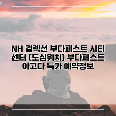 NH 컬렉션 부다페스트 시티 센터 (도심위치) 부다페스트 아고다 특가 예약정보