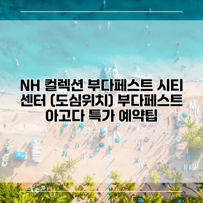 NH 컬렉션 부다페스트 시티 센터 (도심위치) 부다페스트 아고다 특가 예약팁