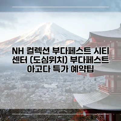 NH 컬렉션 부다페스트 시티 센터 (도심위치) 부다페스트 아고다 특가 예약팁