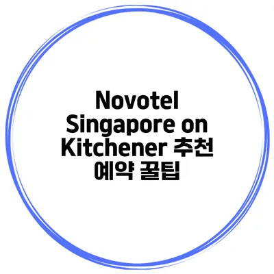 Novotel Singapore on Kitchener 추천 예약 꿀팁