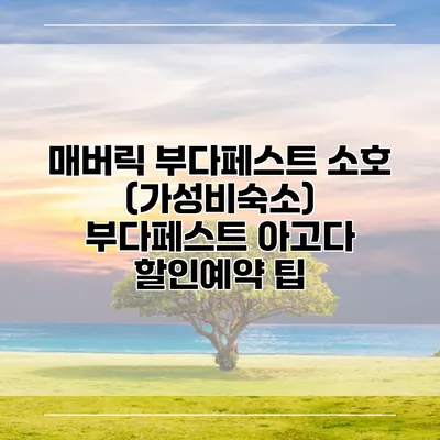 매버릭 부다페스트 소호 (가성비숙소) 부다페스트 아고다 할인예약 팁