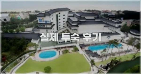 💬 실제 투숙 후기