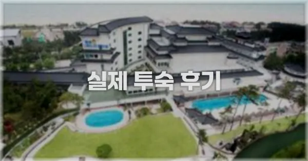 💬 실제 투숙 후기