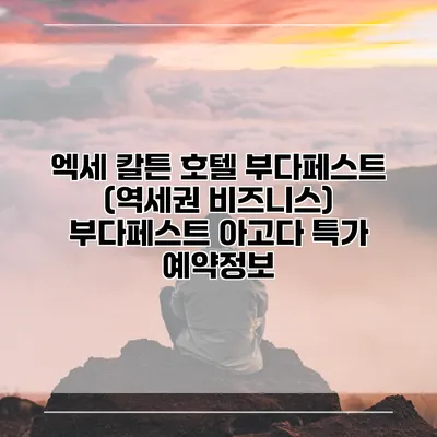엑세 칼튼 호텔 부다페스트 (역세권 비즈니스) 부다페스트 아고다 특가 예약정보