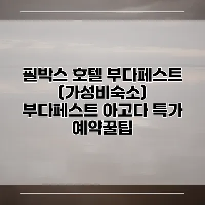 필박스 호텔 부다페스트 (가성비숙소) 부다페스트 아고다 특가 예약꿀팁