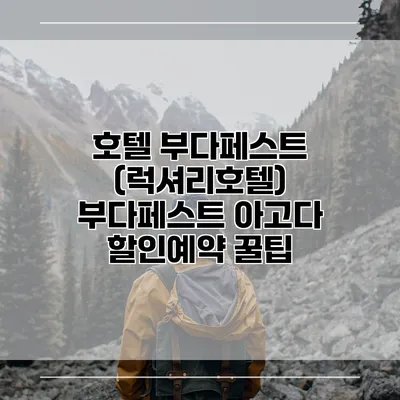 호텔 부다페스트 (럭셔리호텔) 부다페스트 아고다 할인예약 꿀팁